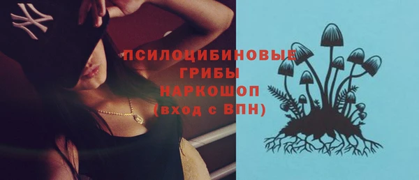 дживик Новодвинск